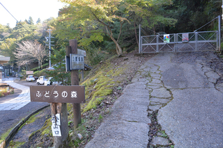141019-04.jpg