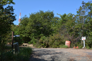 141019-06.jpg