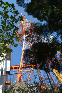 141019-07.jpg