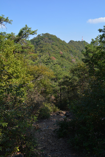 141019-16.jpg
